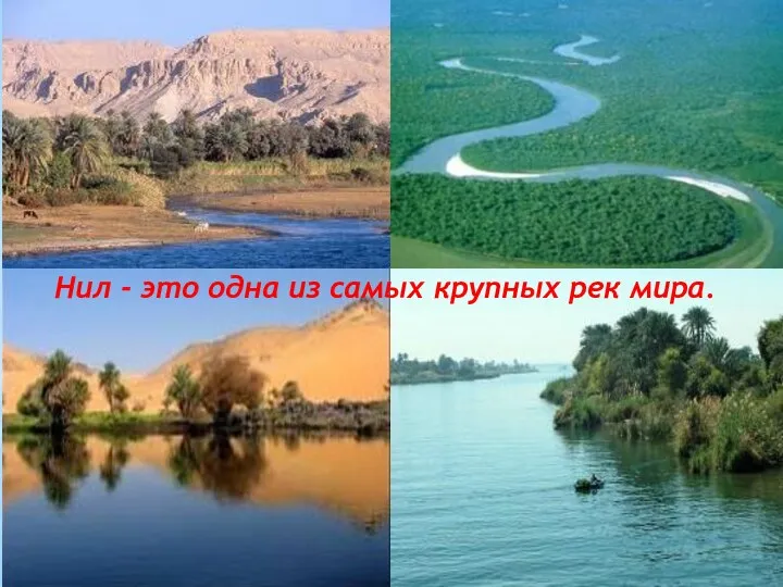 Нил - это одна из самых крупных рек мира.