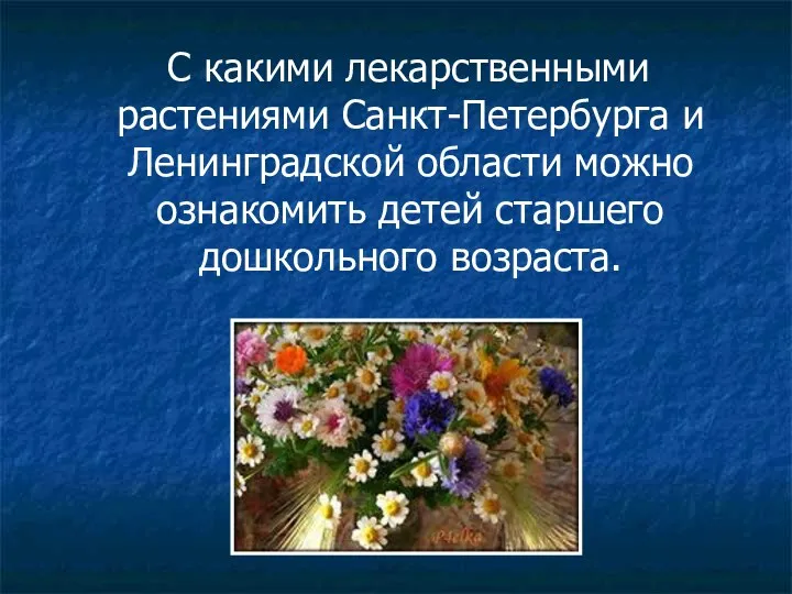 С какими лекарственными растениями Санкт-Петербурга и Ленинградской области можно ознакомить детей старшего дошкольного возраста.