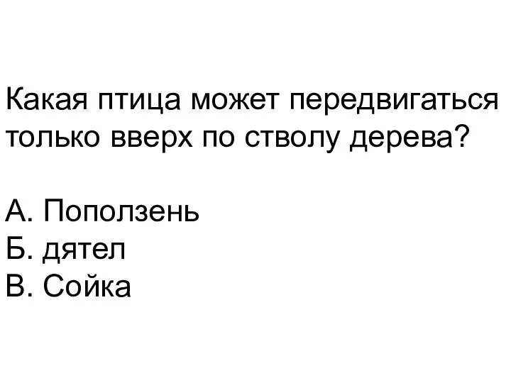 Какая птица может передвигаться только вверх по стволу дерева? А. Поползень Б. дятел В. Сойка