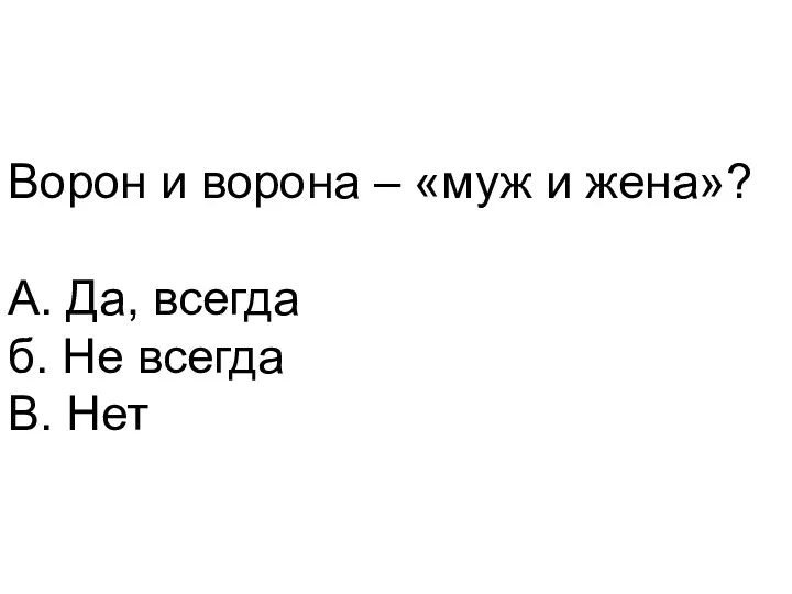 Ворон и ворона – «муж и жена»? А. Да, всегда б. Не всегда В. Нет