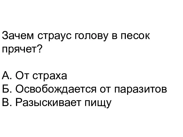 Зачем страус голову в песок прячет? А. От страха Б. Освобождается от паразитов В. Разыскивает пищу