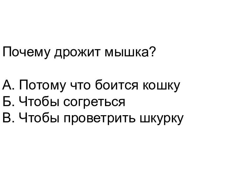 Почему дрожит мышка? А. Потому что боится кошку Б. Чтобы согреться В. Чтобы проветрить шкурку