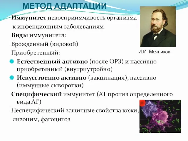 Иммунитет невосприимчивость организма к инфекционным заболеваниям Виды иммунитета: Врожденный (видовой)