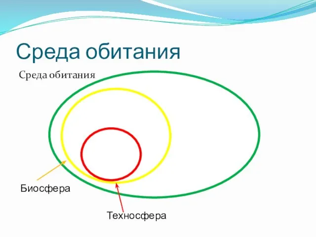 Среда обитания Среда обитания Биосфера Техносфера