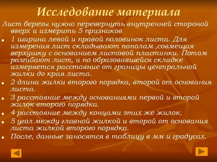 Исследование материала Лист березы нужно перевернуть внутренней стороной вверх и