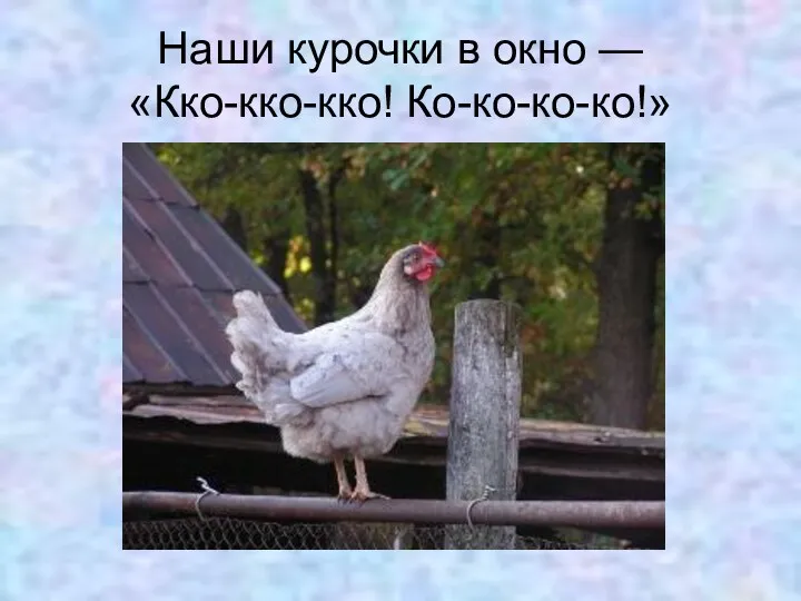 Наши курочки в окно — «Кко-кко-кко! Ко-ко-ко-ко!»