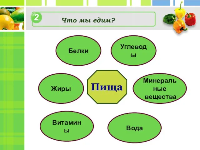 2 Что мы едим? Жиры Белки Углеводы Минеральные вещества Вода Витамины Пища