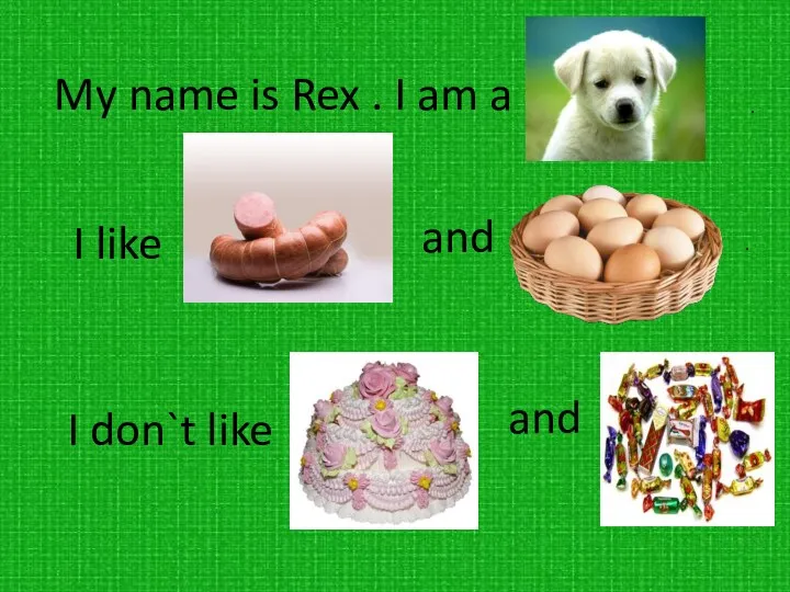 My name is Rex . I am a . I