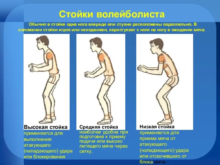Стойки волейболиста Обычно в стойке одна нога впереди или ступни