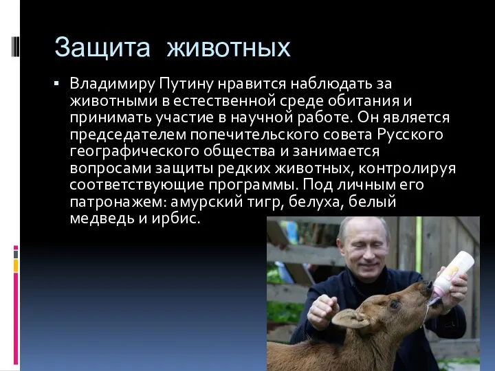 Защита животных Владимиру Путину нравится наблюдать за животными в естественной