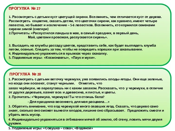 ПРОГУЛКА № 27 1. Рассмотреть с детьми куст цветущей сирени.