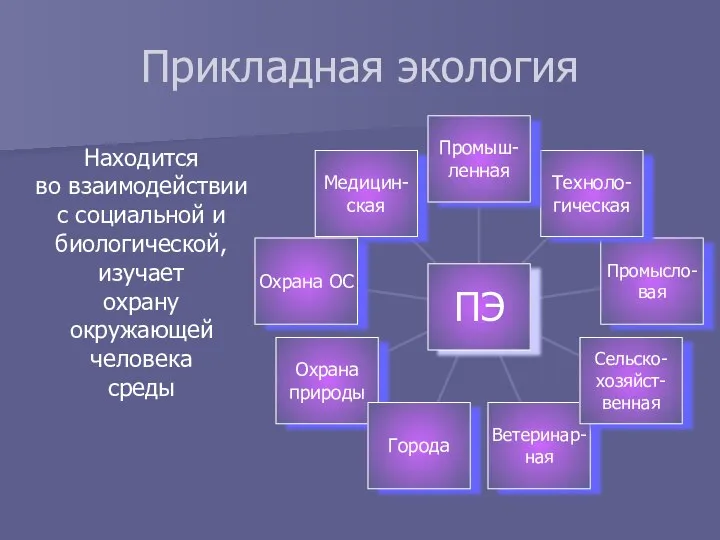 Прикладная экология Находится во взаимодействии с социальной и биологической, изучает охрану окружающей человека среды