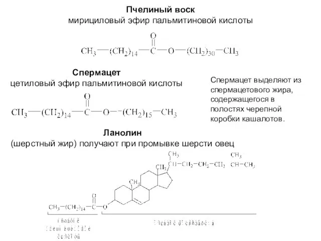 Пчелиный воск мирициловый эфир пальмитиновой кислоты Спермацет цетиловый эфир пальмитиновой