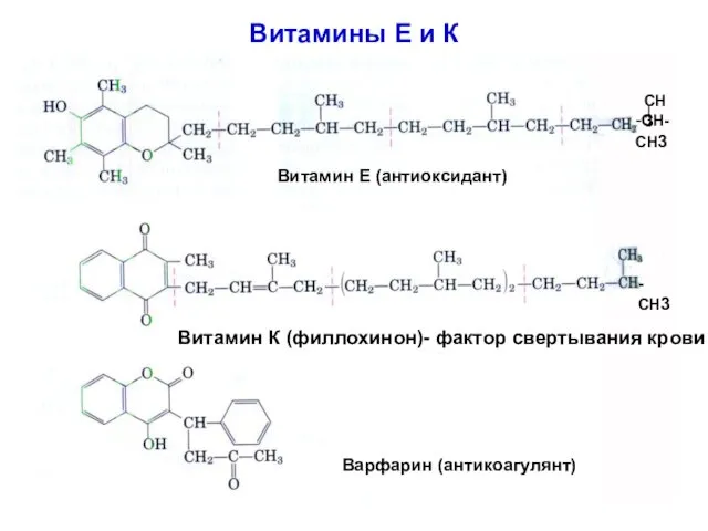 Витамины Е и К -СН-СН3 -СН3 СН3 Витамин Е (антиоксидант)