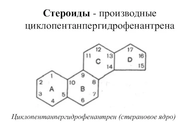 Стероиды - производные циклопентанпергидрофенантрена Циклопентанпергидрофенантрен (стерановое ядро)