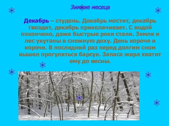 Зимние месяца Декабрь – студень. Декабрь мостит, декабрь гвоздит, декабрь