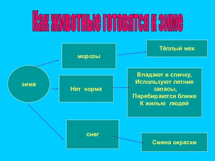 Как животные готовятся к зиме зима морозы Нет корма снег