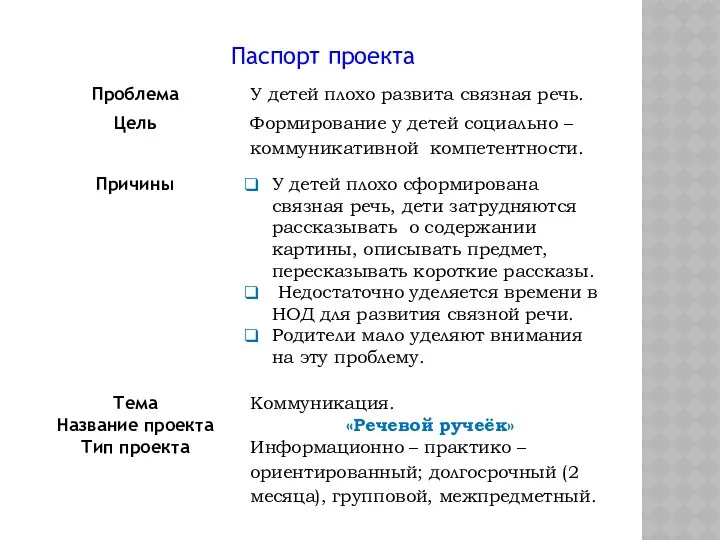 Паспорт проекта