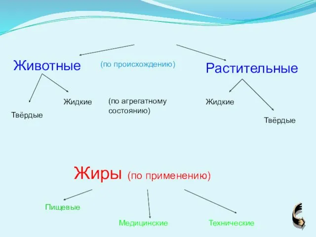 Животные Растительные Твёрдые Жидкие Твёрдые Жидкие Жиры (по применению) Пищевые