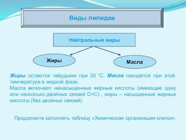 Виды липидов Жиры остаются твёрдыми при 20 °С. Масла находятся