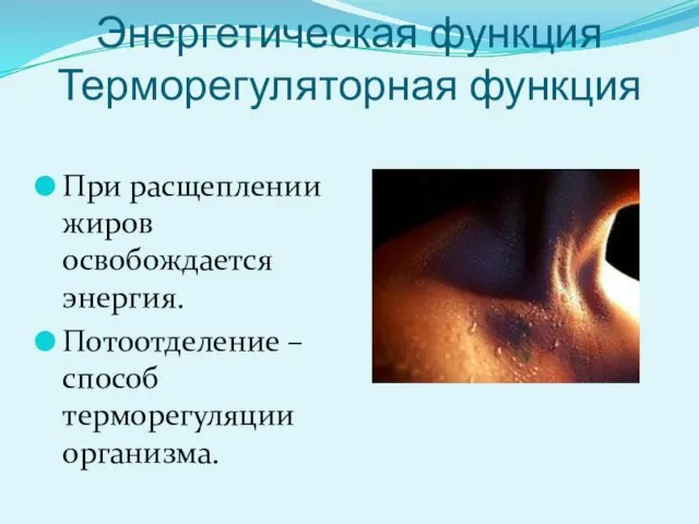 Энергетическая функция Терморегуляторная функция При расщеплении жиров освобождается энергия. Потоотделение – способ терморегуляции организма.