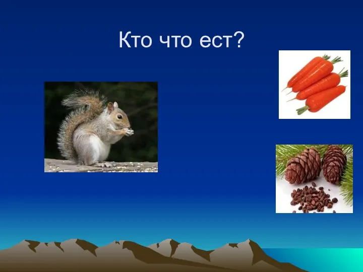 Кто что ест?