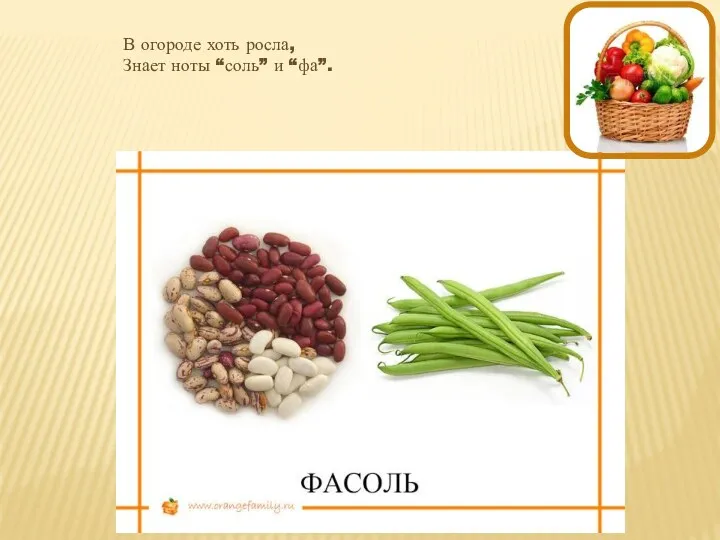 В огороде хоть росла, Знает ноты “соль” и “фа”.