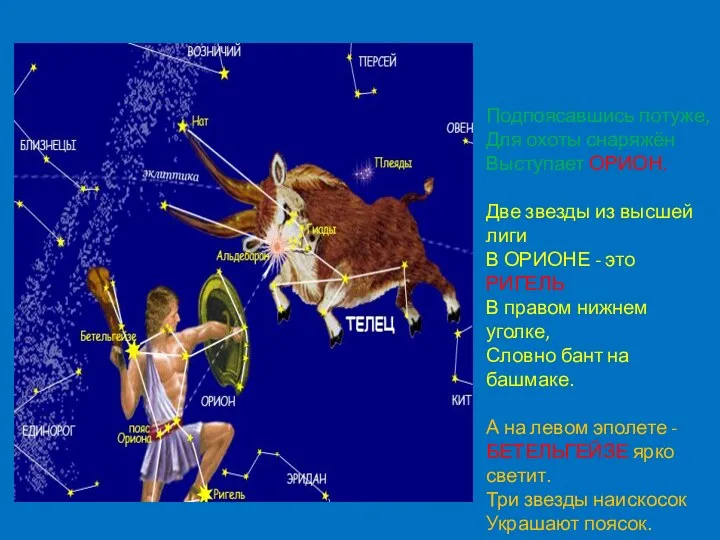 Подпоясавшись Подпоясавшись потуже, Для охоты снаряжён Выступает ОРИОН. Две звезды