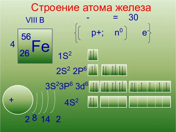 13 Кислород Строение атома железа VIII B 4 Fe +