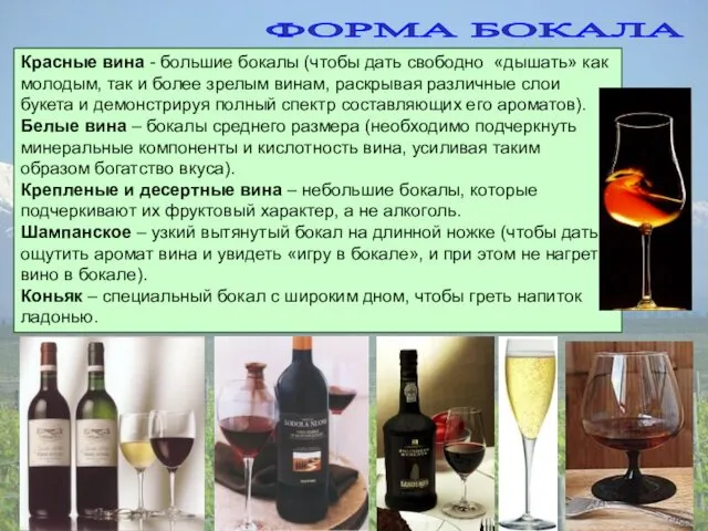 ФОРМА БОКАЛА Красные вина - большие бокалы (чтобы дать свободно
