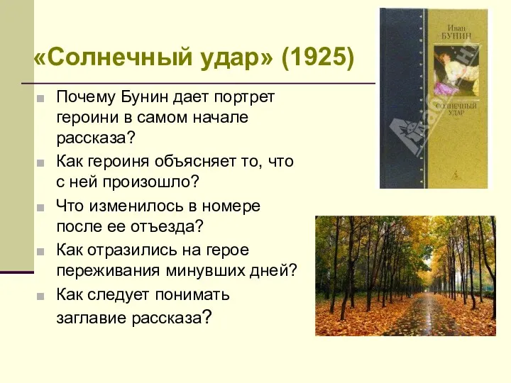 «Солнечный удар» (1925) Почему Бунин дает портрет героини в самом