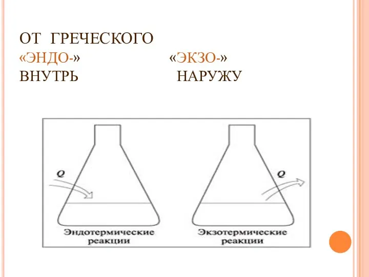 ОТ ГРЕЧЕСКОГО «ЭНДО-» «ЭКЗО-» ВНУТРЬ НАРУЖУ