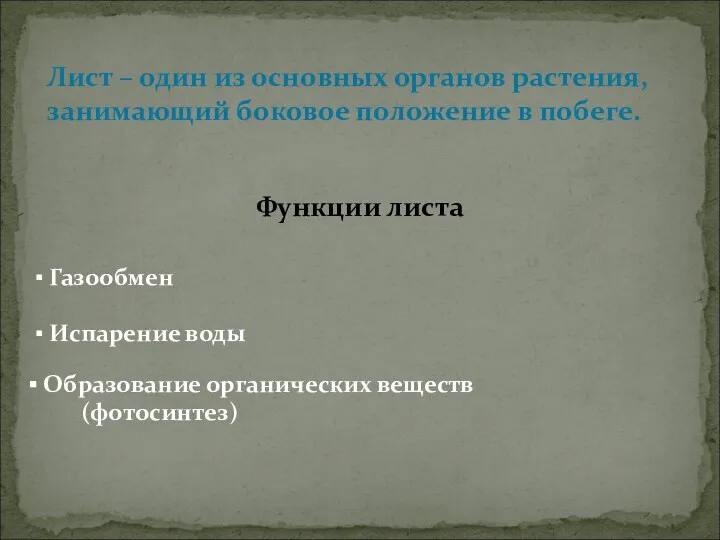 Лист – один из основных органов растения, занимающий боковое положение