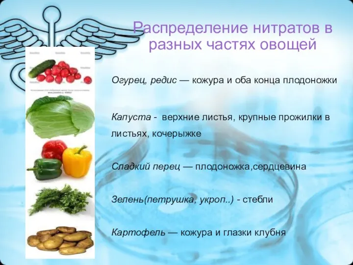 Распределение нитратов в разных частях овощей Огурец, редис — кожура