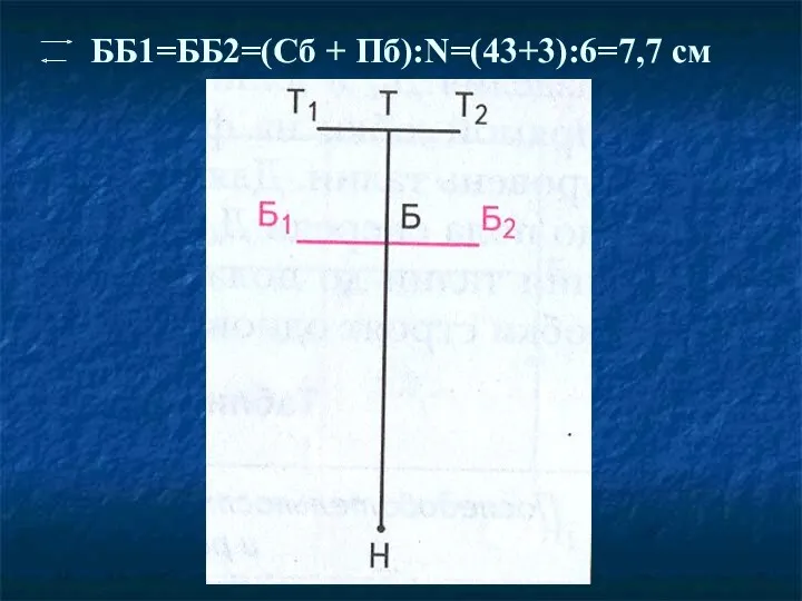 ББ1=ББ2=(Сб + Пб):N=(43+3):6=7,7 см