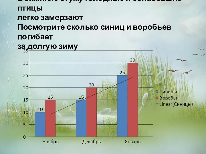 В зимнюю стужу голодные и ослабевшие птицы легко замерзают Посмотрите