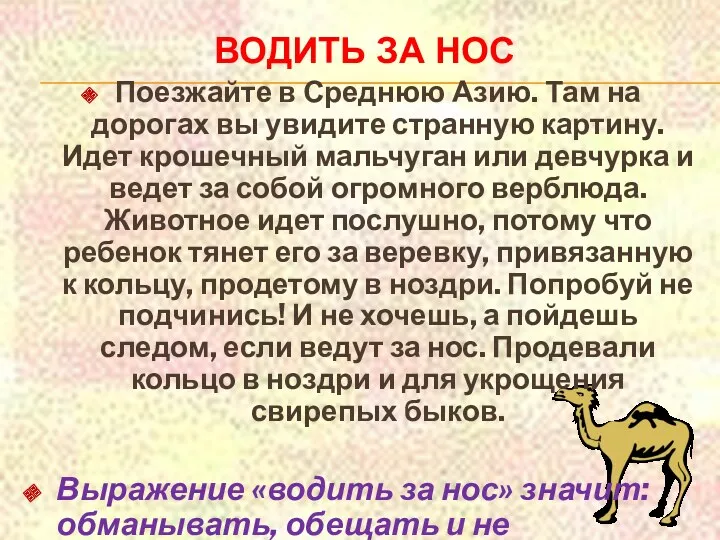 Водить за нос Поезжайте в Среднюю Азию. Там на дорогах