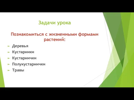 Задачи урока Познакомиться с жизненными формами растений: Деревья Кустарники Кустарнички Полукустарнички Травы