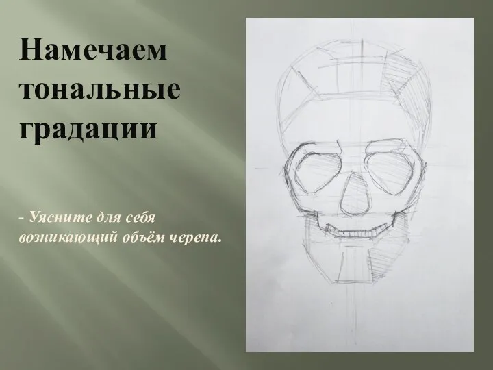 Намечаем тональные градации - Уясните для себя возникающий объём черепа.