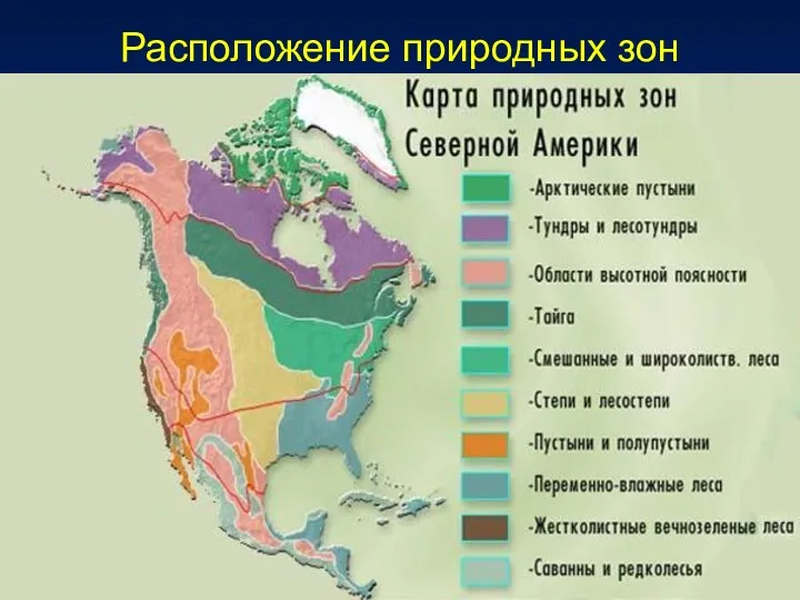 Расположение природных зон