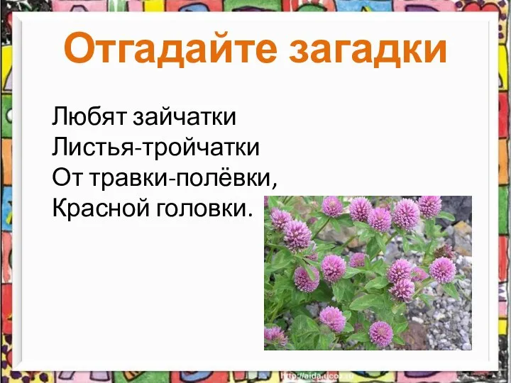 Отгадайте загадки Любят зайчатки Листья-тройчатки От травки-полёвки, Красной головки.