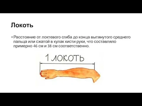 Локоть Расстояние от локтевого сгиба до конца вытянутого среднего пальца