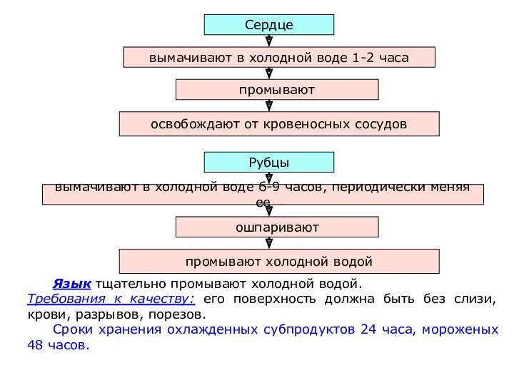 Язык тщательно промывают холодной водой. Требования к качеству: его поверхность