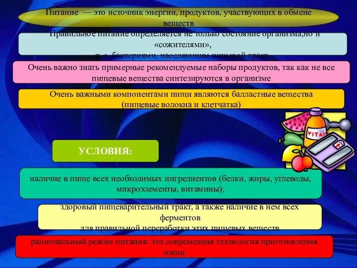 Питание — это источник энергии, продуктов, участвующих в обмене веществ Правильное питание определяется