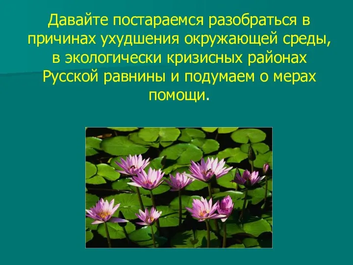 Давайте постараемся разобраться в причинах ухудшения окружающей среды, в экологически