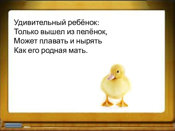 Удивительный ребёнок: Только вышел из пелёнок, Может плавать и нырять Как его родная мать.