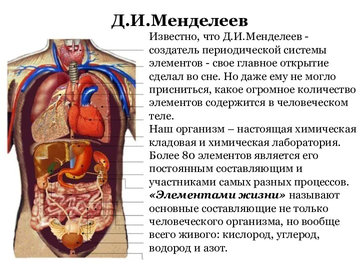 Известно, что Д.И.Менделеев - создатель периодической системы элементов - свое