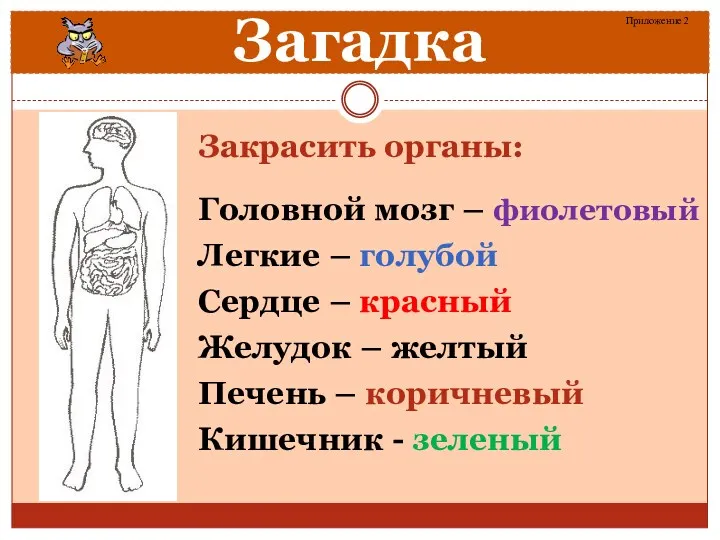 Закрасить органы: Головной мозг – фиолетовый Легкие – голубой Сердце