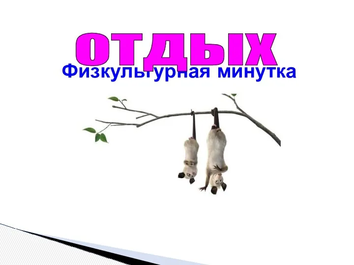 Физкультурная минутка отдых