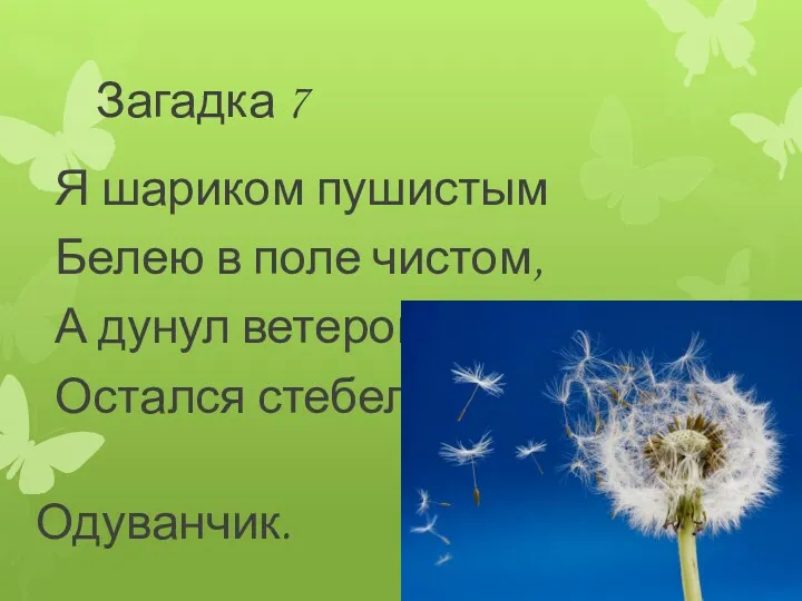 Загадка 7 Я шариком пушистым Белею в поле чистом, А дунул ветерок- Остался стебелёк. Одуванчик.